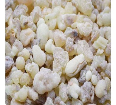 OLIBAN HOJARI OMAN - BOSWELLIA SACRA