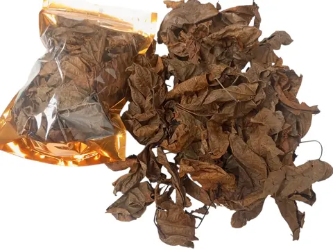 Feuilles de djeka 60g