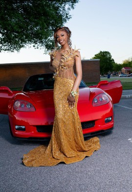 Evening Dress, Prom Dress, Date Night Dress, Valentine's Day Dress, Corset Dress, Mermaid Dress