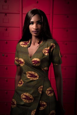 Afé Dress (swallows)