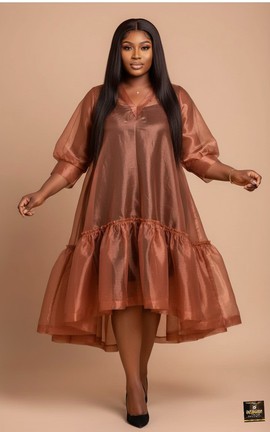 Organza Flared Dress