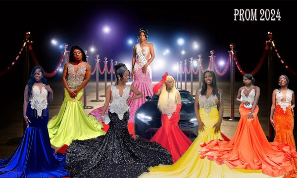 Prom dresses/ red carpet dresses