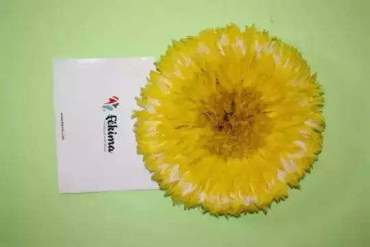 Juju hat Jaune avec léger blanc de 70cm