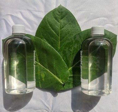 Huile de Kigelia africana - I Love My Popotin - 100% Naturelle - Augmente le Volume - Nourrit la Peau - 100 ml - Santé - Mieux vivre