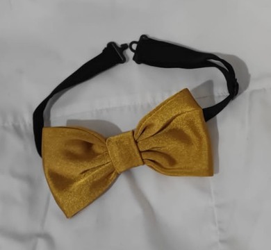 Adjustable golden bow tie