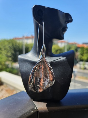 Gorgeous silver colored earrings