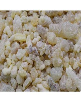 OLIBAN OMAN - BOSWELLIA SACRA