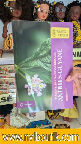 L'essentiel des plantes médicinales Antilles-Guyane