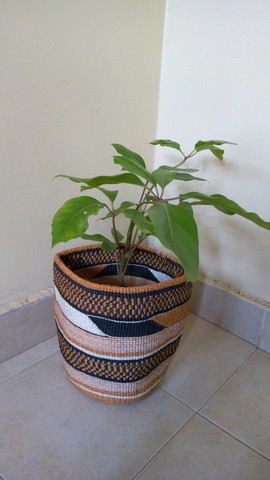 Woven Sisal planter, Sisal plant holder, Succulent plant holder, Wicker holder, Toy storage basket