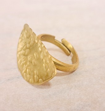 Bague demibi