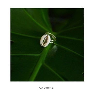Caurine 🐚 925 silver plated brass ring with cowrie