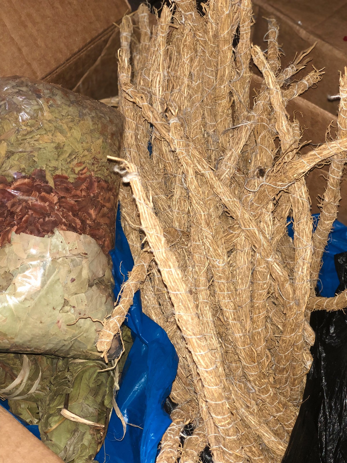 KHAMARE (vetiver roots or gongoli) by akissikosmetics - Spices, Plants, -  ANKA