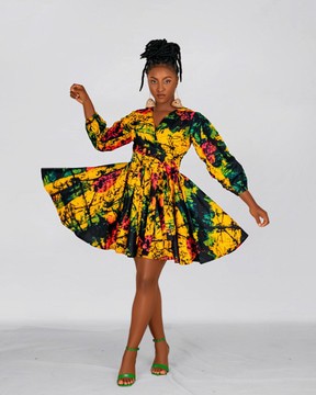 Brenie Mini Dress