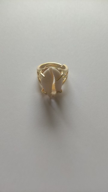 Bague cauris réglable
