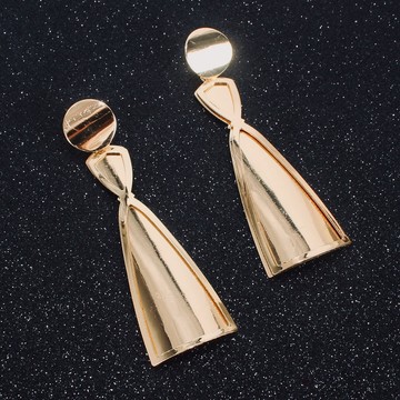 Beautiful pair of steel earrings