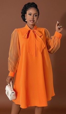 Organza Bow-Neck Trapeze