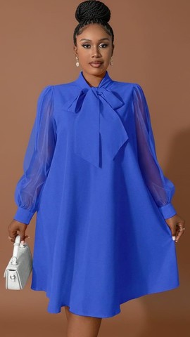 Organza Bow-Neck Trapeze