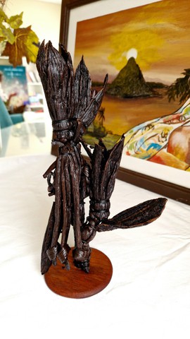 Décoration/ Art Vanille bourbon tressée: Pousse devanille/ Madagascar/ Collection VAVASAHA"
