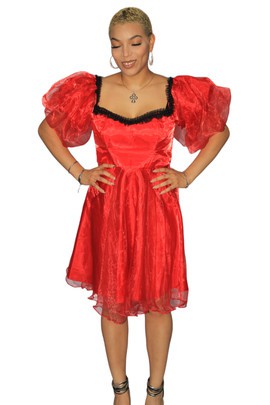 Vintage Red Organza Midi Dress
