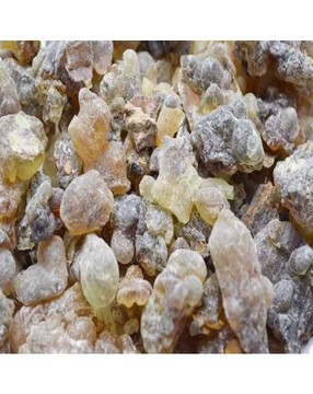 BLACK OLIBAN OMAN - BOSWELLIA SACRA