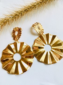 Beautiful pair earrings