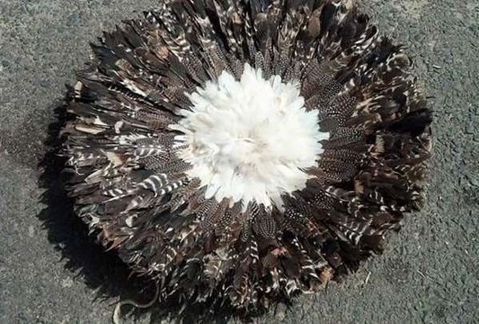 Juju hat 3 tons (2 noirs naturels et blanc) 80cm