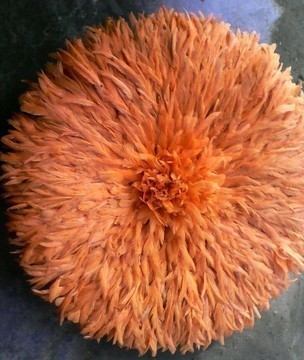 Juju hat de 50 cm