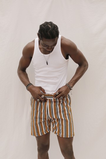 Sunset Fugu Shorts