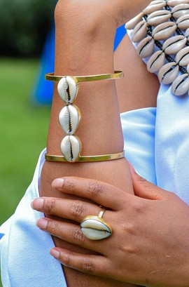 The stunning cowrie