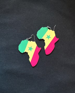 SN Earrings