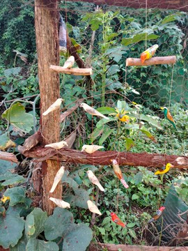 Small birds on a tree stand/ 18 birds with a hinging string/balcony or garden decor