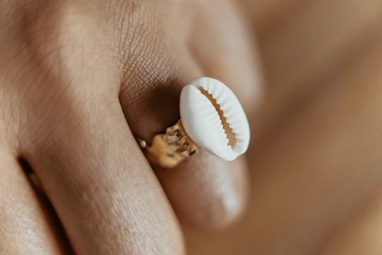 Caurine 🐚 Brass ring gilded with 24k gold adorned with a natural cauri "Ndolo"
