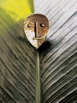 Mask ring