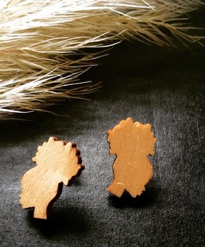 Beautiful pair of earrings