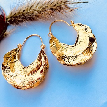 Pair of steel earrings