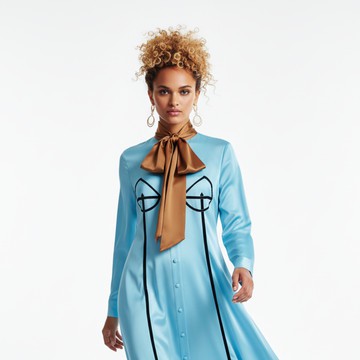 Cordelia Silk Shirt Dress