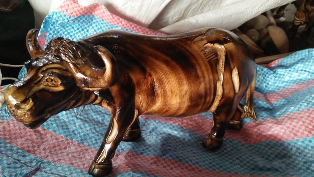 Wooden Buffalo curving