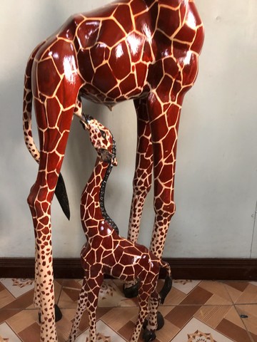 Girafes courbant/ mère et alimentation veau girafe courbant