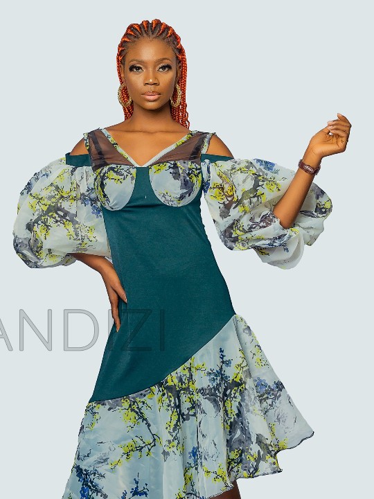 Organza Corset Flare Dress, Puff Sleeve Dress, Organza Dress