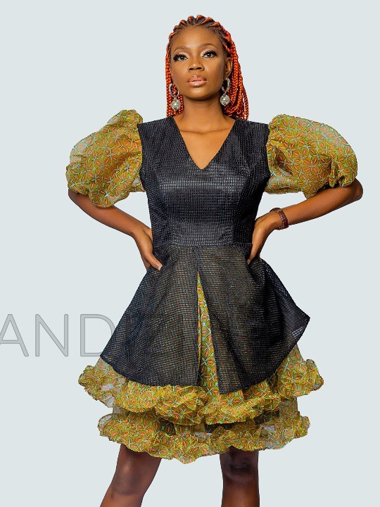 Beautiful Organza Fit and Flare Dress