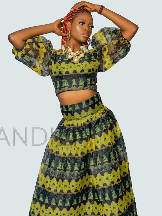 African Print Crop Top &amp; Flare Skirt, Ankara 2 piece Skirt Set, African Clothing for Women