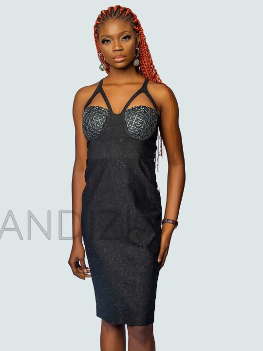 Beautiful Mesh Corset Dress, Mesh Corset Dress