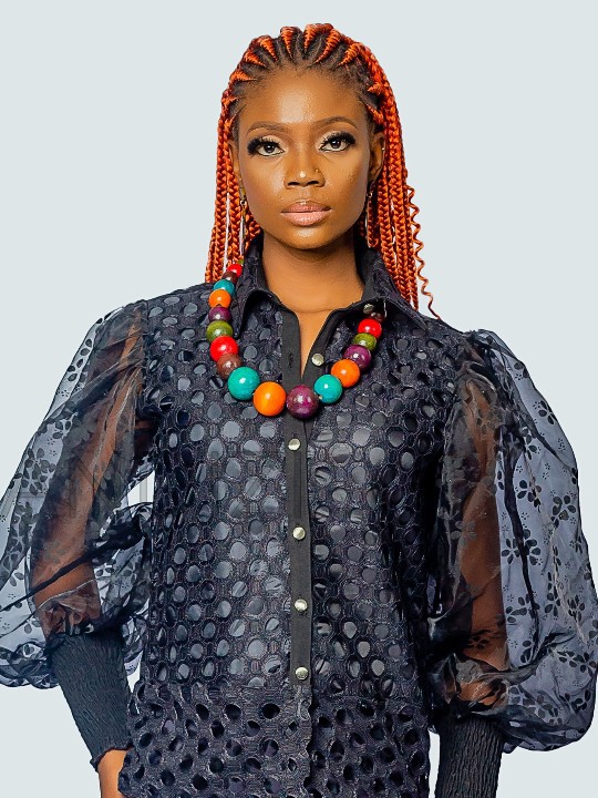 Organza Puff Sleeve  Shirt
