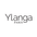 ylanga