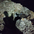 kylie_971